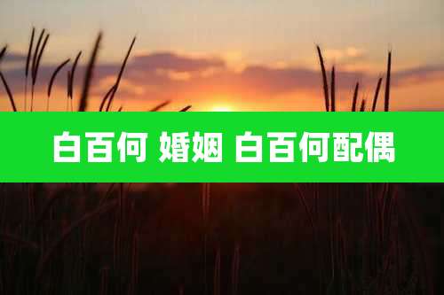 白百何 婚姻 白百何配偶