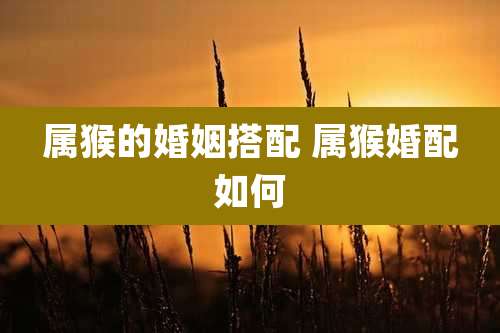 属猴的婚姻搭配 属猴婚配如何