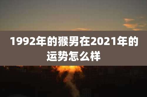 1992年的猴男在2021年的运势怎么样
