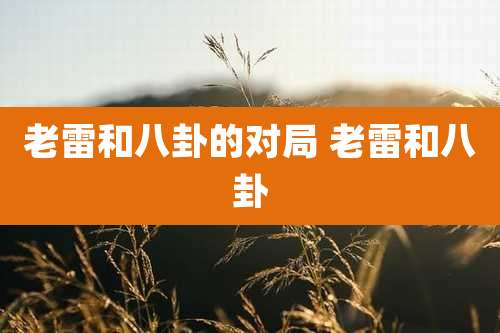 老雷和八卦的对局 老雷和八卦