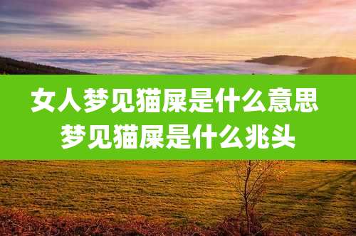 女人梦见猫屎是什么意思 梦见猫屎是什么兆头