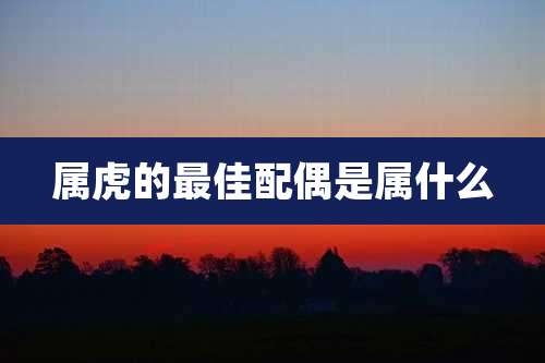 属虎的最佳配偶是属什么