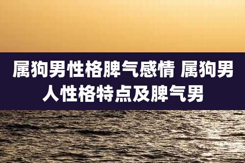 属狗男性格脾气感情 属狗男人性格特点及脾气男