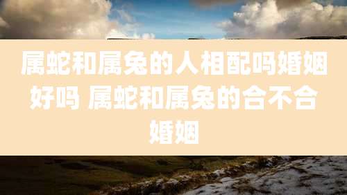 属蛇和属兔的人相配吗婚姻好吗 属蛇和属兔的合不合婚姻