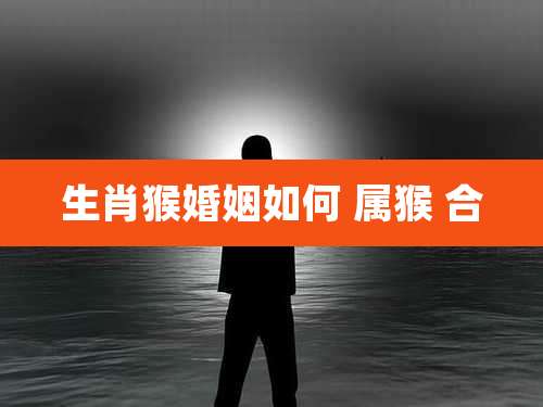生肖猴婚姻如何 属猴 合