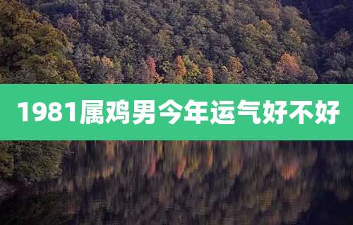 1981属鸡男今年运气好不好