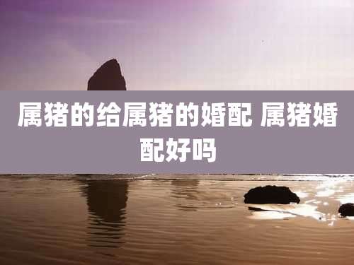 属猪的给属猪的婚配 属猪婚配好吗