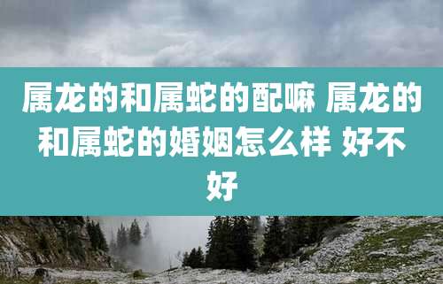 属龙的和属蛇的配嘛 属龙的和属蛇的婚姻怎么样 好不好