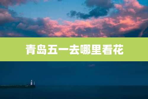 青岛五一去哪里看花