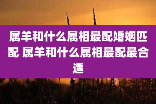 属羊和什么属相最配婚姻匹配 属羊和什么属相最配最合适