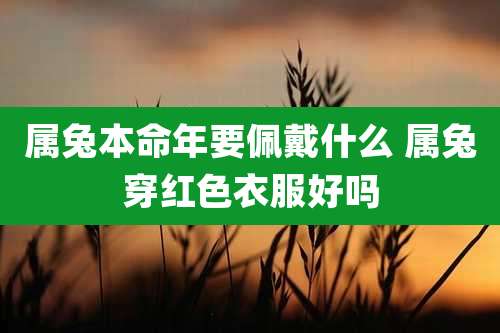 属兔本命年要佩戴什么 属兔穿红色衣服好吗