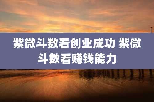 紫微斗数看创业成功 紫微斗数看赚钱能力