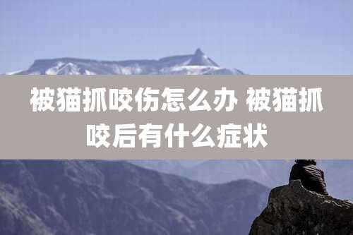 被猫抓咬伤怎么办 被猫抓咬后有什么症状