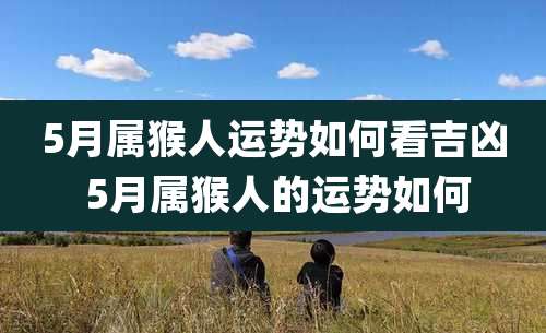 5月属猴人运势如何看吉凶 5月属猴人的运势如何