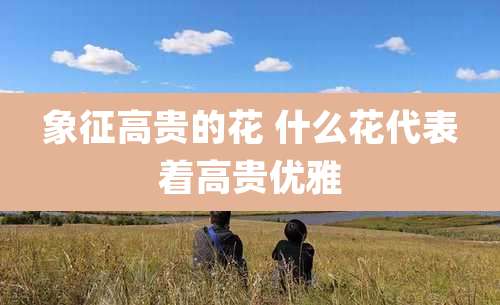 象征高贵的花 什么花代表着高贵优雅