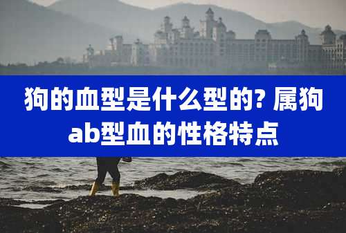 狗的血型是什么型的? 属狗ab型血的性格特点