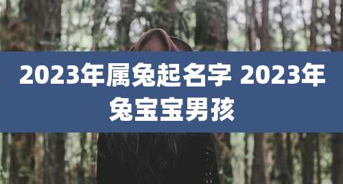 2023年属兔起名字 2023年兔宝宝男孩