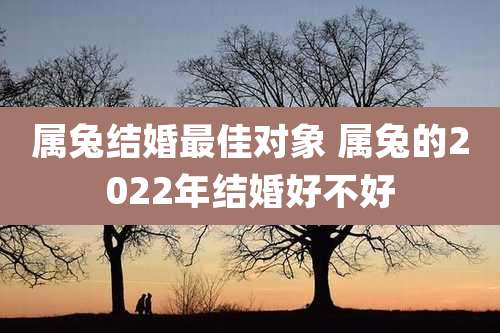 属兔结婚最佳对象 属兔的2022年结婚好不好