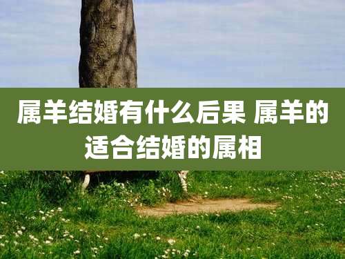 属羊结婚有什么后果 属羊的适合结婚的属相