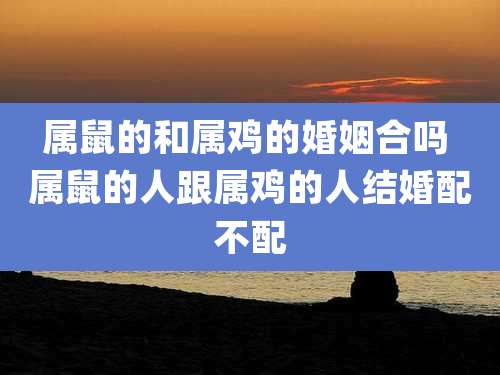 属鼠的和属鸡的婚姻合吗 属鼠的人跟属鸡的人结婚配不配