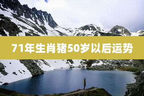 71年生肖猪50岁以后运势