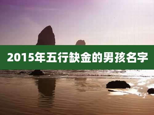 2015年五行缺金的男孩名字