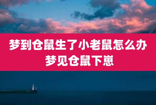 梦到仓鼠生了小老鼠怎么办 梦见仓鼠下崽