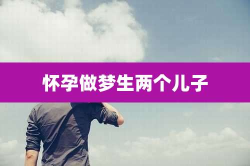 怀孕做梦生两个儿子