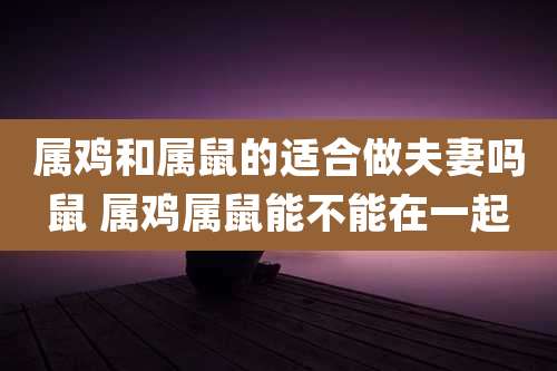 属鸡和属鼠的适合做夫妻吗鼠 属鸡属鼠能不能在一起