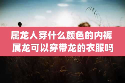 属龙人穿什么颜色的内裤 属龙可以穿带龙的衣服吗