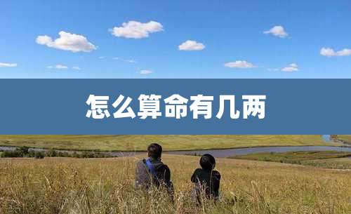 怎么算命有几两