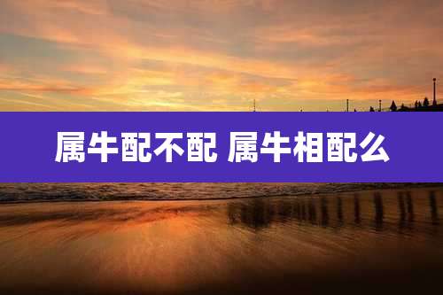 属牛配不配 属牛相配么