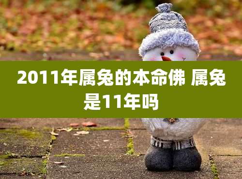 2011年属兔的本命佛 属兔是11年吗