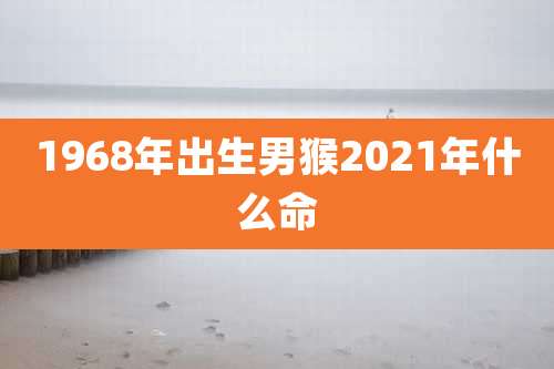1968年出生男猴2021年什么命