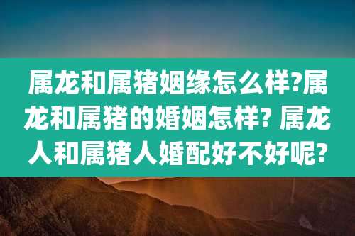 属龙和属猪姻缘怎么样?属龙和属猪的婚姻怎样? 属龙人和属猪人婚配好不好呢?