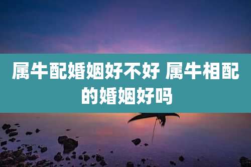 属牛配婚姻好不好 属牛相配的婚姻好吗