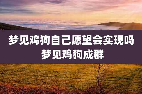 梦见鸡狗自己愿望会实现吗 梦见鸡狗成群