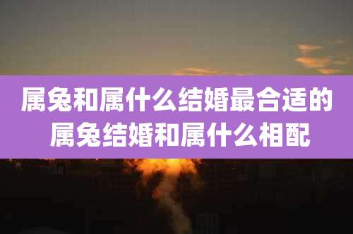 属兔和属什么结婚最合适的 属兔结婚和属什么相配