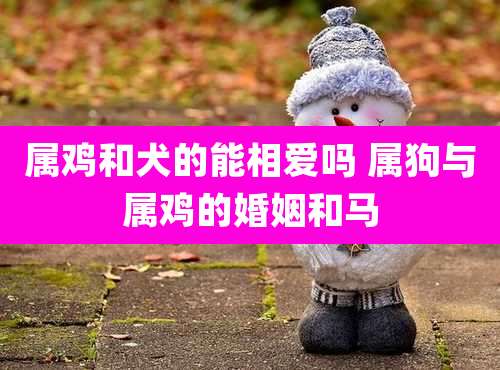 属鸡和犬的能相爱吗 属狗与属鸡的婚姻和马