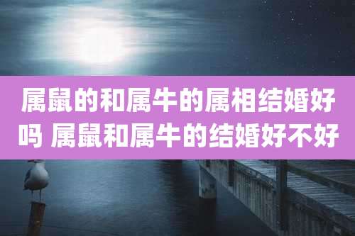 属鼠的和属牛的属相结婚好吗 属鼠和属牛的结婚好不好