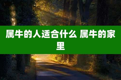 属牛的人适合什么 属牛的家里