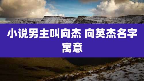 小说男主叫向杰 向英杰名字寓意