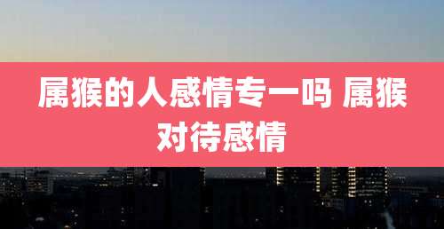 属猴的人感情专一吗 属猴对待感情