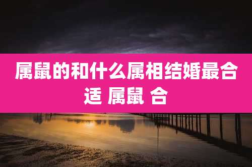 属鼠的和什么属相结婚最合适 属鼠 合