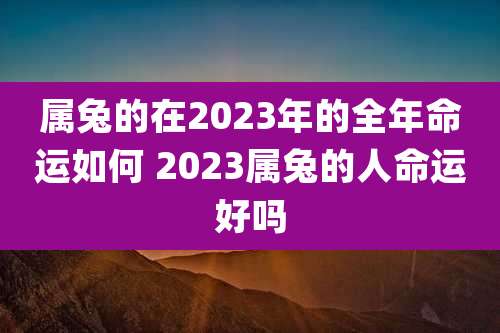 属兔的在2023年的全年命运如何 2023属兔的人命运好吗