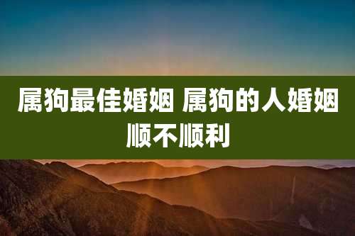 属狗最佳婚姻 属狗的人婚姻顺不顺利