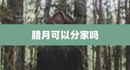 腊月可以分家吗