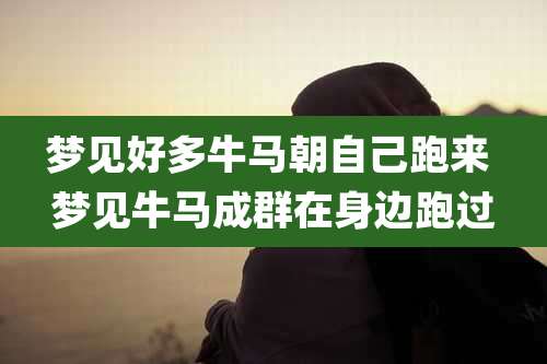 梦见好多牛马朝自己跑来 梦见牛马成群在身边跑过