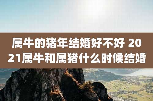 属牛的猪年结婚好不好 2021属牛和属猪什么时候结婚