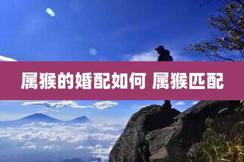 属猴的婚配如何 属猴匹配